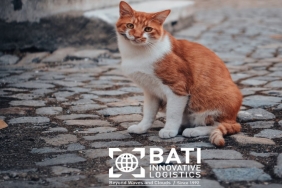 bati-innovative-logistics-sevimli-dostlari-unutmuyor