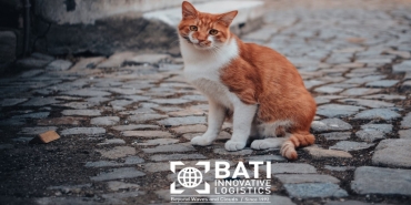 bati-innovative-logistics-sevimli-dostlari-unutmuyor