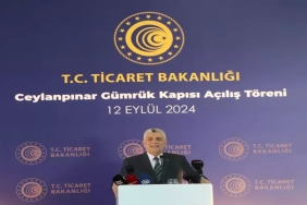 Ceylanpınar Gümrük Kapısı'nda Modern Dönüşüm: Yeni Çağ Başlıyor 3 ceylanpinar-gumruk-kapisinda-modern-donusum-yeni-cag-basliyor